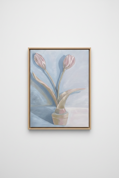 Blush Tulips in Soft Light